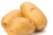 Nejčastější chorobou brambor je plíseň bramborová.