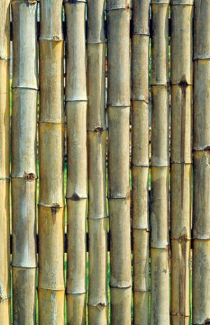 Šikovné clony dokážou hotová kouzla. Přírodním a asijským zahradám padnou na míru bambusové a rákosové rohože.