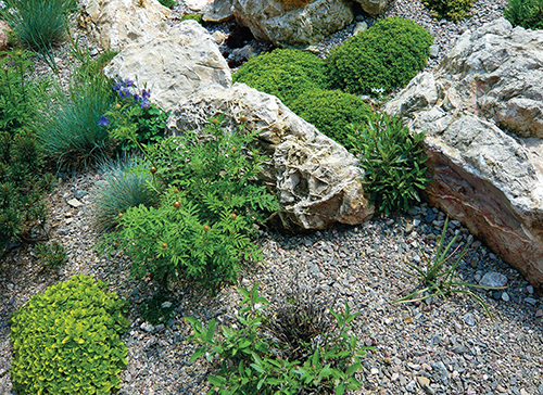 Kámen je pro rostliny nejen krásným, ale i praktickým doplňkem, který absorbuje teplo. 