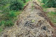 Podle odborníků zachycuje sluneční svit i déšť lépe záhon vyvýšeného kupovitého tvaru než záhon v rovině.