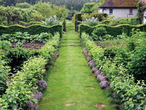 Tento snímek zachycuje hezkou ukázku toho, jak úhledně a prakticky může být uspořádána užitková zahrada.