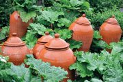 Zajímavou pomůckou pro pěstování některých druhů zeleniny jsou keramické zvony ke krátkodobému zatemnění rostlin.