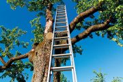 Mezi spotřebiteli vítězí hliníkové žebříky. Jsou stabilní, dobře se přenášejí a navíc jsou poměrně lehké.