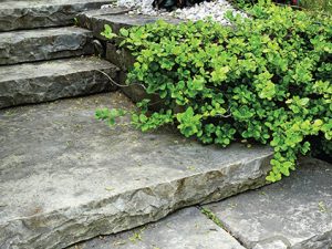 Pokud schody z obou stran zapustíte do terénu, například do záhonů s trvalkami, stanou se harmonickou součástí zahrady.