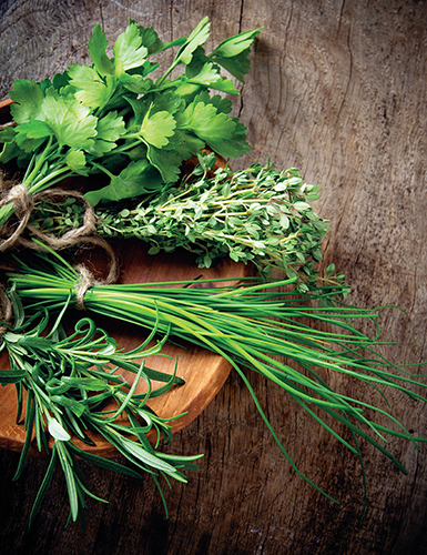 Od jara do podzimu můžete v kuchyni využívat čerstvé zelené bylinky z vlastní zahrádky nebo balkonu.