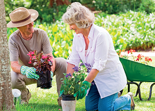 Lidé na prahu důchodu se často nechají unést vidinou veliké a doslova rajské zahrady.