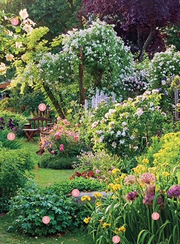 Léto v zahradě může být plné energie.