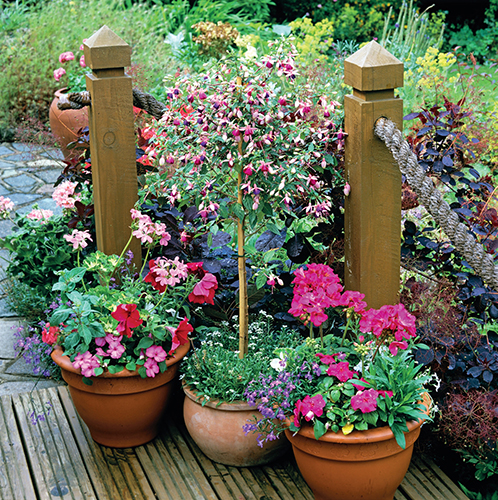 Kromě letniček v truhlících jsou základem krásného balkonu nádobové rostliny označované trefně také jako kbelíkové.