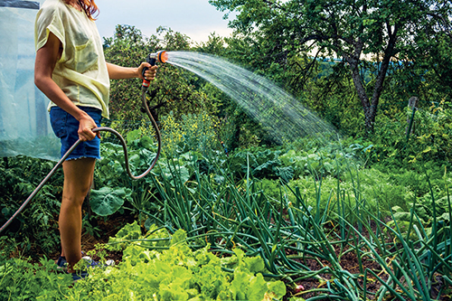 Čerpadlo poslouží nejen pro čerpání vody na zálivku zahrady.