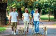 Služba Doginni.cz zprostředkovává nejen hlídání a venčení psů, ale i trénink a další doplňkové služby péče o psa.