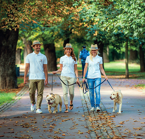 Služba Doginni.cz zprostředkovává nejen hlídání a venčení psů, ale i trénink a další doplňkové služby péče o psa. Služba Doginni.cz zprostředkovává nejen hlídání a venčení psů, ale i trénink a další doplňkové služby péče o psa.