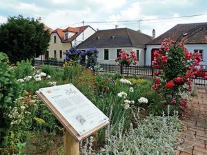 Základní myšlenkou rakouské komunitní zahrady v Unterretzbachu je vztah člověka k přírodě a mezi lidmi navzájem.