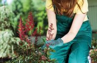 Pro práci na zahradě byste měli mít připraveno několik druhů rukavic. Na pletí se hodí pogumované, na stříhání růží kožené a na držení motyky látkové.