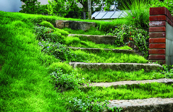 Na každém pozemku můžete využít recyklované materiály: například staré kamenné schody.