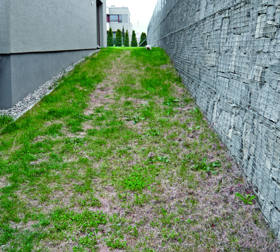 V současné době je na ploše založen provizorní trávník, se kterým se do budoucna nepočítá, neboť se mu v těchto podmínkách nedaří. Největším problémem je poměrně nekvalitní půda tvořená z části ornicí namíchanou s podorničím, je jílovitá s vysokým obsahem kamenů. Dlouhý úzký pás se nachází mezi domem a gabionovou stěnou, která plní funkci opěrné terénní zdi.