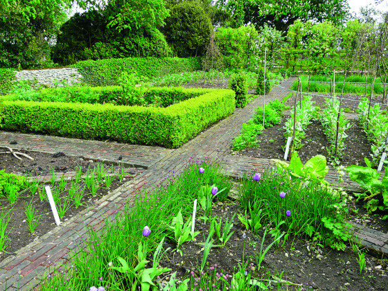 Užitkovou zahradu nemusíte nutně izolovat od okrasné části. Bude-li u domu, častěji si dojdete pro čerstvou zeleninu či bylinky.