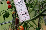Probiotika weiki