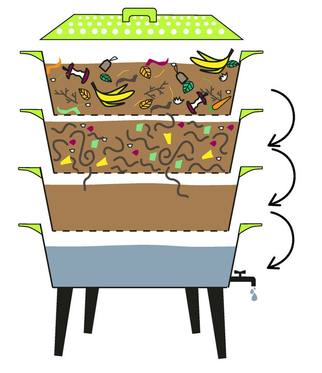 Jak pěstovat žížaly: Ekologická cesta k úspěchu ve vaší zahradě