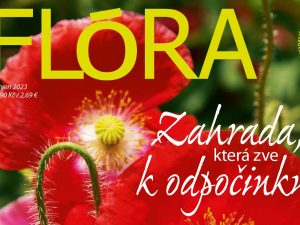 Flora 06/23