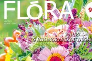 Flora 09/23