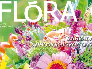 Flora 09/23