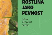 Rostlina jako pevnost