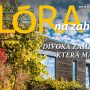 Flóra 10/23