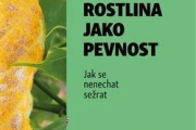 Rostlina jako pevnost