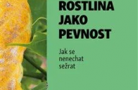 Rostlina jako pevnost