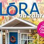 Flora 11/23