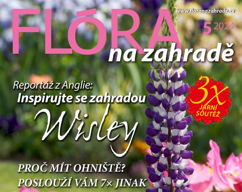 Flora 05/24